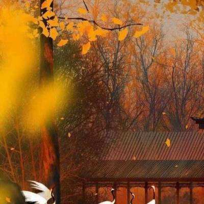 策魂三国华为版下载